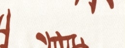 101.japonsko hnědá
